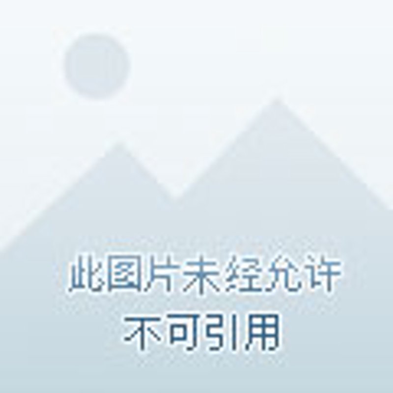 提花面料